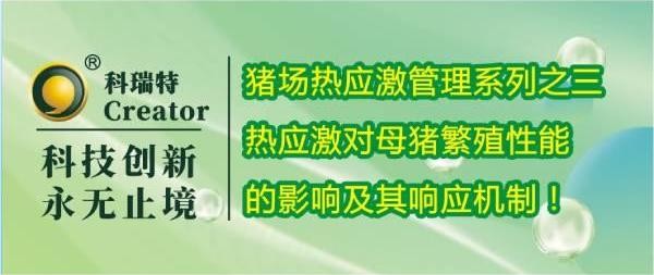 養(yǎng)殖技術 | 熱應激對母豬繁殖性能的影響及其響應機制