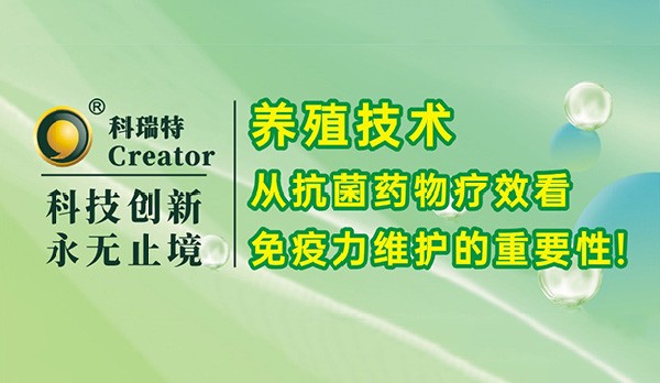 養(yǎng)殖技術(shù)｜從抗菌藥物療效看免疫力維護的重要性！